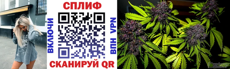 Купить закладку Александровск СК Cocaine ГАШИШ Меф Марихуана