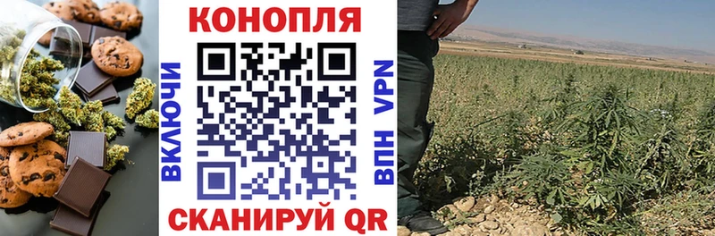 где купить наркоту  Александровск  Canna-Cookies марихуана 
