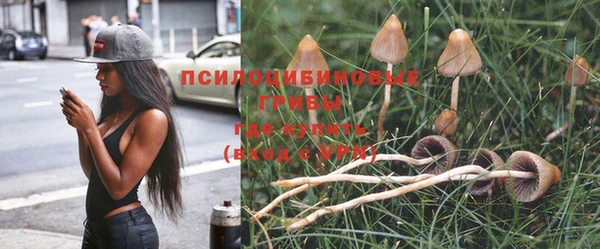 mdma Покачи