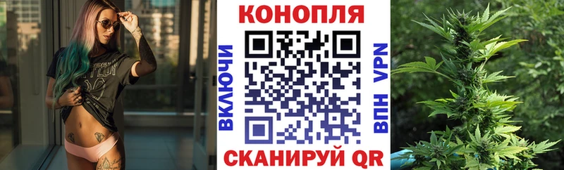MEGA как войти  Александровск  Каннабис OG Kush 